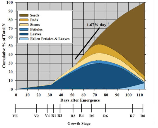 Nitrogen partitioning during the soybean growing season.