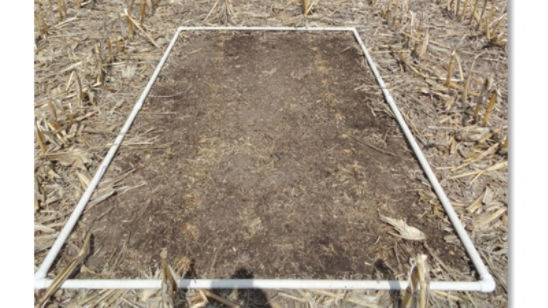 notill_continuous_corn_residue_mgmt_1
