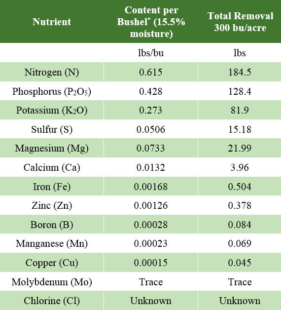 Table listing nutrient content / bu corn grain and total amounts of nutrients removed from the field at 300 bu/a grain yield.