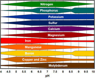 Relative availability of plant nutrients by soil pH.