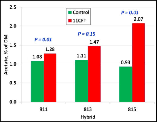 Acetate in control and 11CFT-treated hybrids