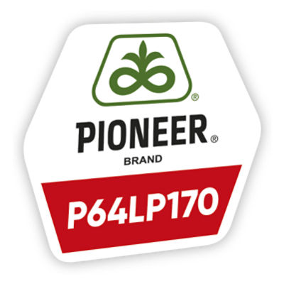 logo-produs