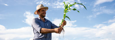 Homem de chapéu segurando planta de milho e olhando pra ela, com céu azul de fundo.