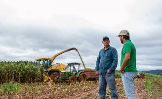 Dois homens conversando e ao fundo sendo colhido milho para silagem.