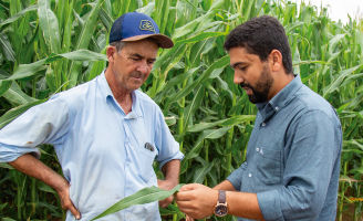 Dois homens analisando uma folha de milho.