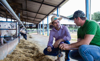 Dois homens agachados conversando a ao chão silagem.