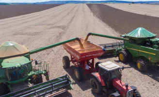 Duas colheitadeiras largando semente de soja no caminhão.