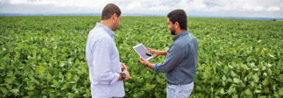Dois homens no meio da lavoura de soja olhando para um tablet.