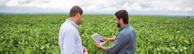 Dois homens no meio da lavoura de soja conversando enquanto está acontecendo uma colheita.