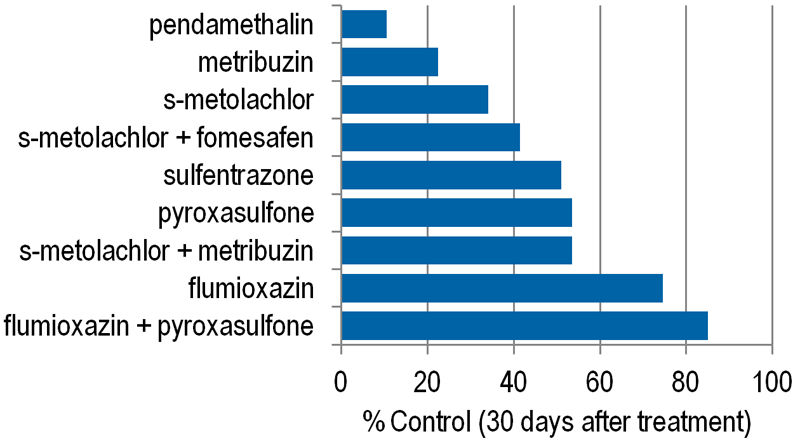 Average Palmer amaranth control with pre-emergence herbicides.