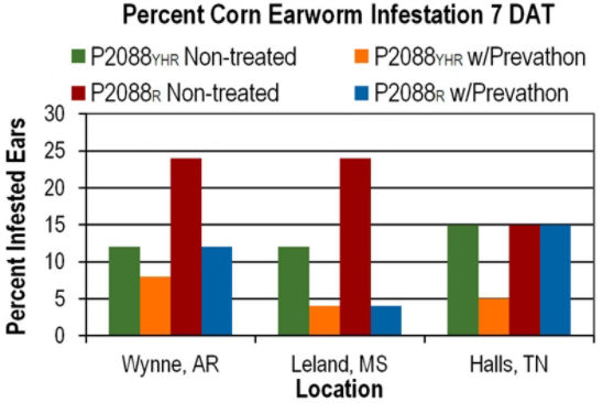 Chart: Percent corn earworm infestation - comparison three locations