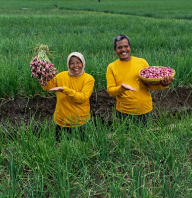 Men analyze plants with tablet