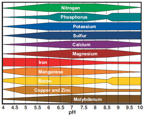 pH chart