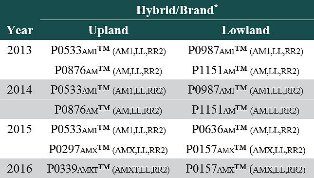 This is a photo of a corn field in mid-summer. A corn canopy needs to intercept 95% or more of photosynthetically active radiation at silking to maximize yield.