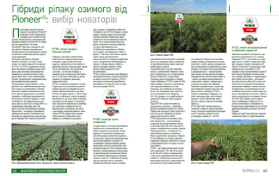 Ріпак озимий Pioneer стаття