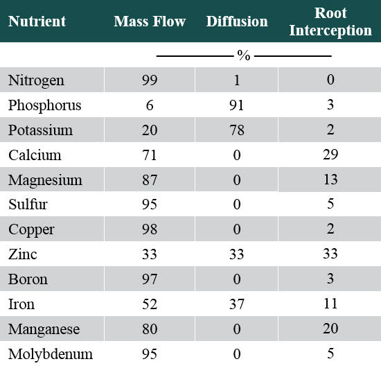 This is a table showing mechanisms of plant uptake for differernt soil nutrients including nitrogen, phosphorus and potassium.