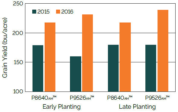 Chart showing the effect of planting date and hybrid on yield, averaged across management treatments, 2015 and 2016.