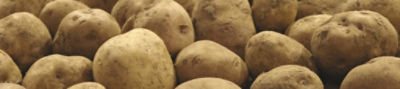 Potato_Banner_Mobile