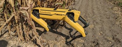 preciziosrobotokcover001