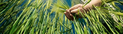 products_n_solutions_banner