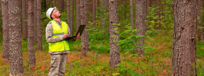 Quem é quem: conheça algumas profissões do campo