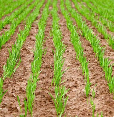 N'oubliez pas le relais de printemps