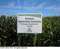 Pioneer Agronomy Sciences - Nitrogen Application Timing test plot