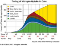Timing of Rescue Nitrogen Application Demo