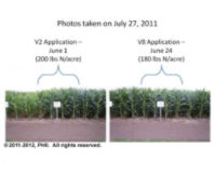 V2 and V8 nitrogen applications