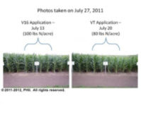 V16 and VT nitrogen applications