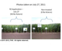 R2 application plot and non-treated plot