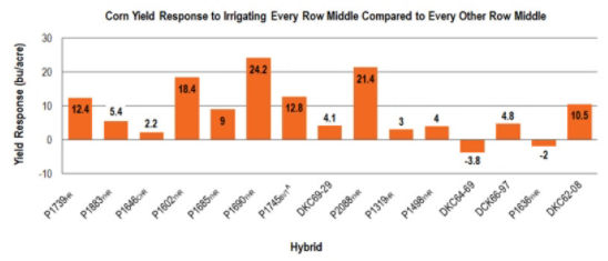 Chart: Corn Yield Response to Irrigating Every Row Middle Compared to Every Other Row Middle