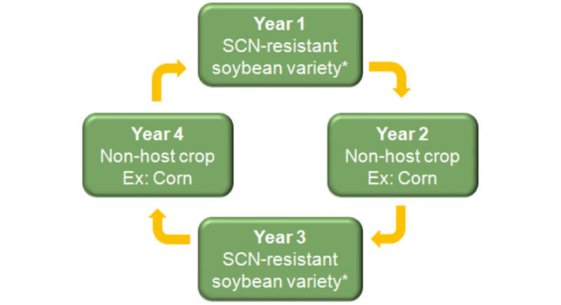 Crop Rotation Strategy