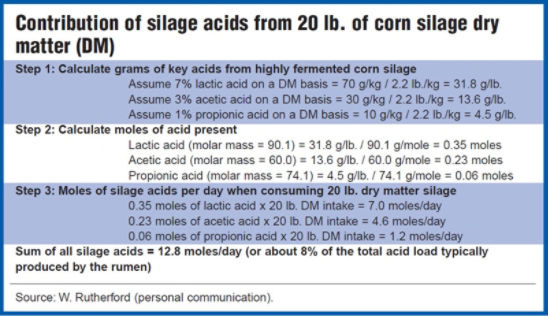 Contribution of silage acids from 20 lb. of corn silage dry matter (DM.)