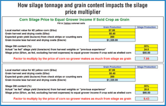 Silage tonnage and grain content impacting silage price multiplier