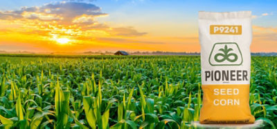 Kup nasiona marki Pioneer przez Internet