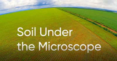 Soil Under the Microscope