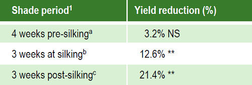 Effect of shade treatments on yield
