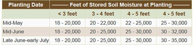 Adjusting sorghum planting rate to available stored soil moisture in arid environments.