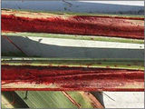 Fusarium - Grain Sorghum