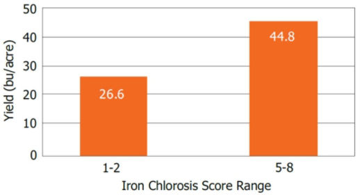 Average yield of soybean varieties susceptible (IDC score 1-2) and tolerant (IDC score 5-8) to iron deficiency chlorosis in a 2-year Pioneer study.
