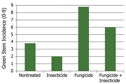 Effect of fungicide, insecticide and fungicide + insecticide treatments on incidence of green stems.