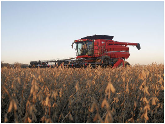 Soybean harvest