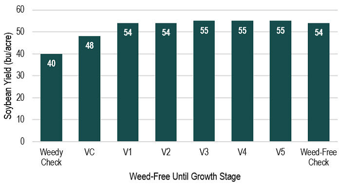 Chart showing soybean yield associated with maintenance of weed-free conditions through a range of soybean growth stages.