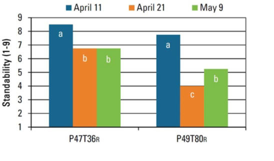 Effect of planting date and Pioneer® brand soybean on harvest standability near Leland, Miss. in 2014.