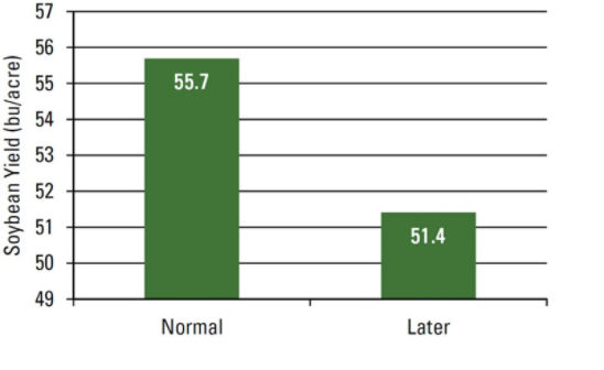 Effect of planting timing on soybean yield. Average soybean yield was 4.3 bu/acre greater at the normal planting timing compared to the later planting timing.