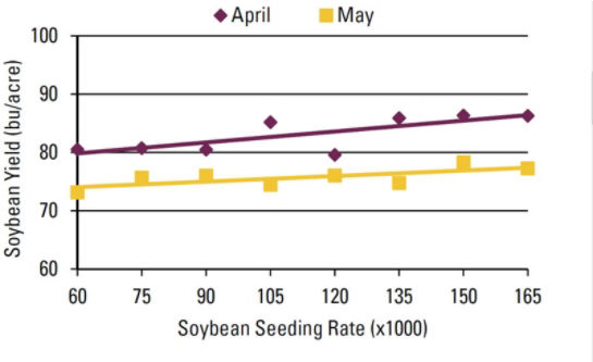 Chart - Seeding rate effect on soybean yield by planting date.