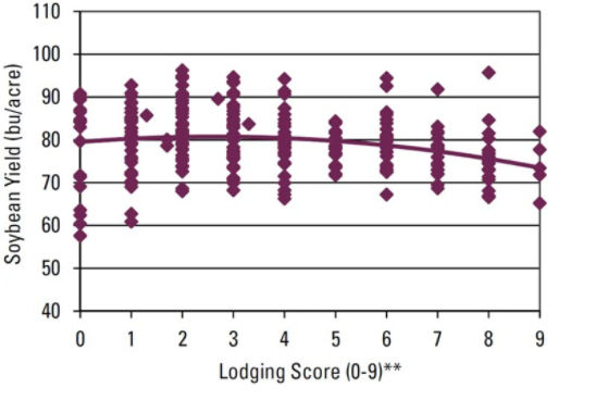 Chart - Lodging effect on soybean yield.