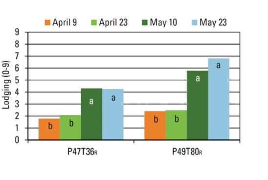 Chart - Planting date effect on lodging by variety.