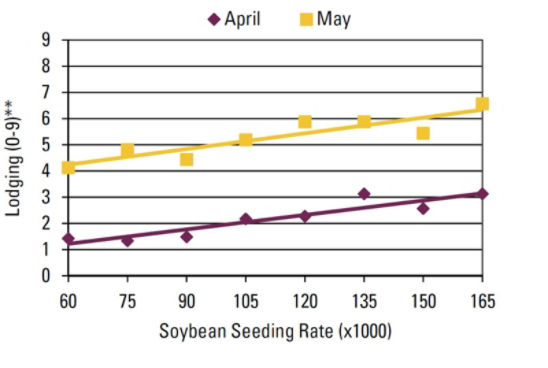 Chart - Seeding rate effect on lodging by planting date.